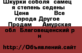 Шкурки соболя (самец) 1-я степень седены › Цена ­ 12 000 - Все города Другое » Продам   . Амурская обл.,Благовещенский р-н